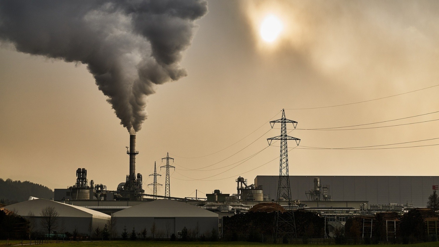 Comparing Absorption and Adsorption in Carbon Capture