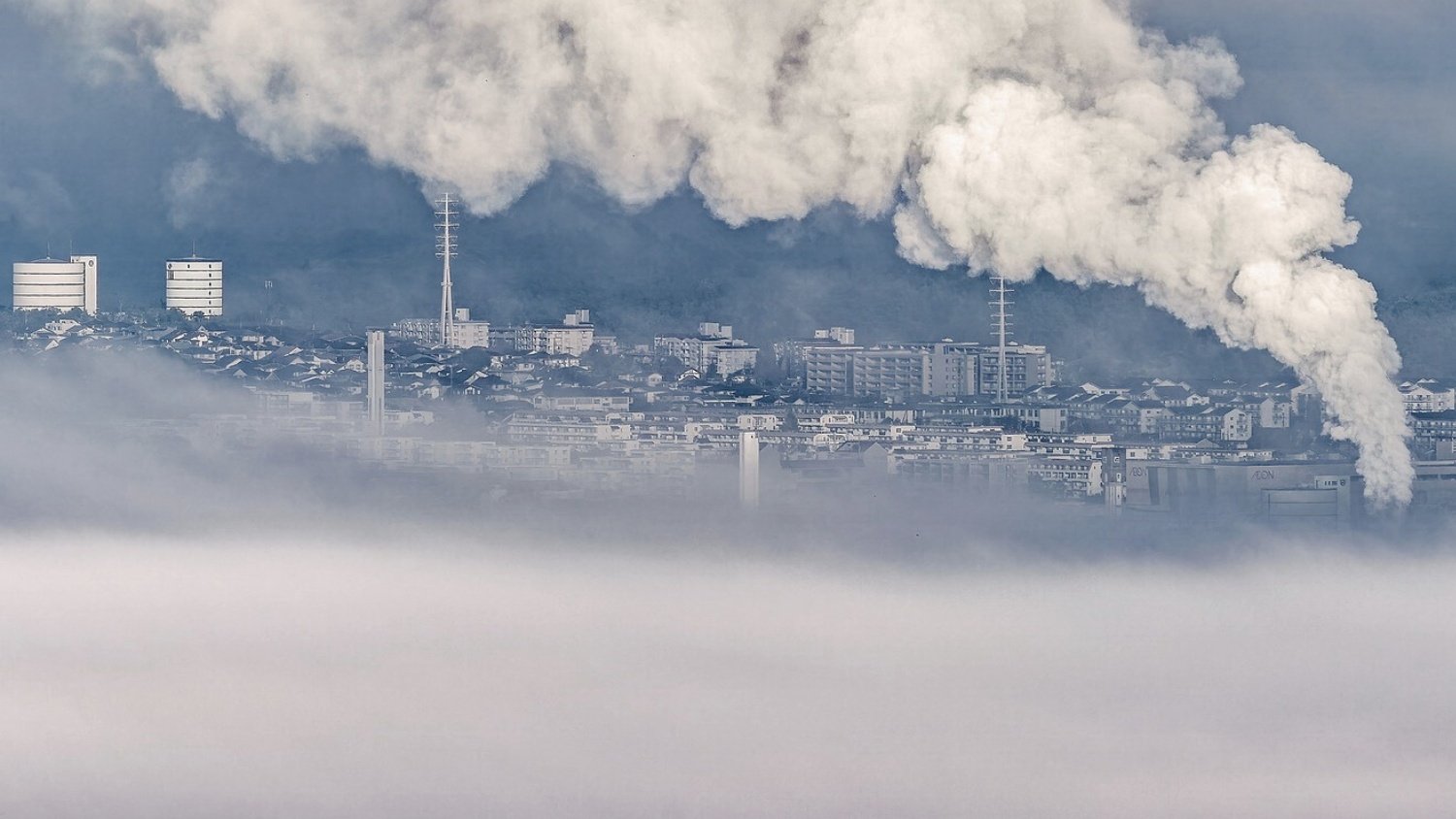 Reducing the economic impact of carbon emissions